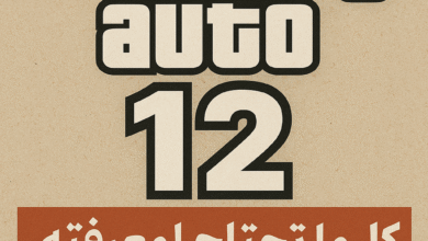 كل ما تحتاج لمعرفته عن لعبة جاتا 12